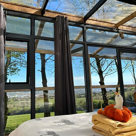 Sky Gazer Cabin In The Woods Dublin Eksteriør billede